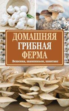 Нина Богданова - Домашняя грибная ферма. Вешенка, шампиньон, шиитаке