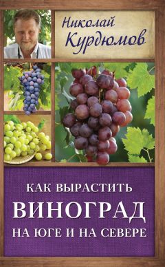 Николай Курдюмов - Мой сад. Максимальный урожай легко и просто