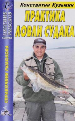 Читайте книги онлайн на Bookidrom.ru! Бесплатные книги в одном клике Константин Кузьмин - Практика ловли судака