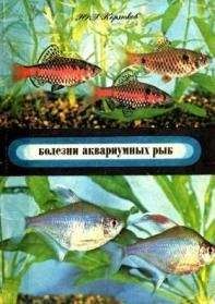 Читайте книги онлайн на Bookidrom.ru! Бесплатные книги в одном клике Ю Корзюков - Болезни аквариумных рыб