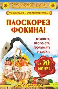 Читайте книги онлайн на Bookidrom.ru! Бесплатные книги в одном клике Наталья Герасимова - Плоскорез Фокина! Вскопать, прополоть, прорыхлить и скосить за 20 минут