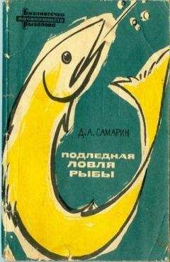 Читайте книги онлайн на Bookidrom.ru! Бесплатные книги в одном клике Дмитрий Самарин - Подледная ловля рыбы