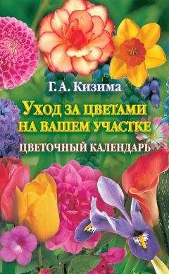 Читайте книги онлайн на Bookidrom.ru! Бесплатные книги в одном клике Галина Кизима - Уход за цветами на вашем участке. Цветочный календарь