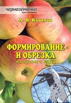 Читайте книги онлайн на Bookidrom.ru! Бесплатные книги в одном клике Алексей Кушлак - Формирование и обрезка плодового сада