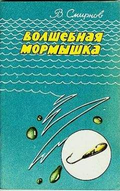 Читайте книги онлайн на Bookidrom.ru! Бесплатные книги в одном клике В. Смирнов - Волшебная мормышка