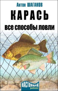 Читайте книги онлайн на Bookidrom.ru! Бесплатные книги в одном клике Антон Шаганов - Карась. Все способы ловли