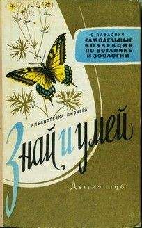 Читайте книги онлайн на Bookidrom.ru! Бесплатные книги в одном клике Сергей Павлович - Знай и умей. Самодельные коллекции по ботанике и зоологии