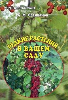 Александр Селиванов - Редкие растения в вашем саду