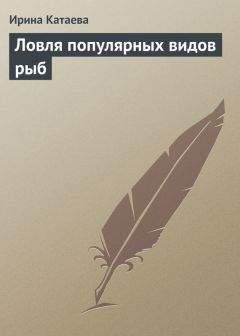 Читайте книги онлайн на Bookidrom.ru! Бесплатные книги в одном клике Ирина Катаева - Ловля популярных видов рыб