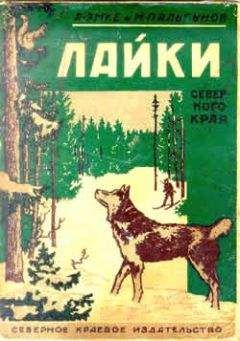 Читайте книги онлайн на Bookidrom.ru! Бесплатные книги в одном клике Александр Эмке - Лайки северного края