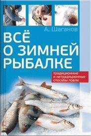 Антон Шаганов - Все о зимней рыбалке