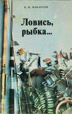 Читайте книги онлайн на Bookidrom.ru! Бесплатные книги в одном клике Виктор Макарали - Ловись, рыбка...