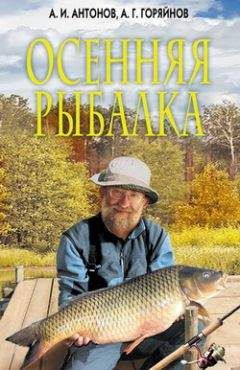 Читайте книги онлайн на Bookidrom.ru! Бесплатные книги в одном клике Александр Антонов - Осенняя рыбалка