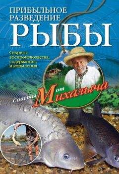 Читайте книги онлайн на Bookidrom.ru! Бесплатные книги в одном клике Николай Звонарев - Прибыльное разведение рыбы