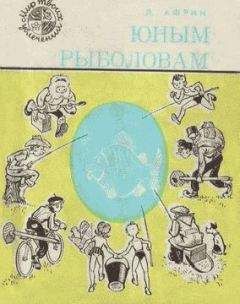 Читайте книги онлайн на Bookidrom.ru! Бесплатные книги в одном клике Леонид Африн - Юным рыболовам