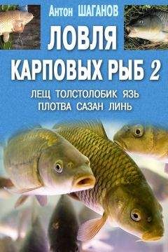 Читайте книги онлайн на Bookidrom.ru! Бесплатные книги в одном клике Антон Шаганов - Ловля карповых рыб – 2