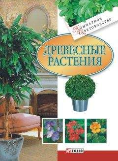 Читайте книги онлайн на Bookidrom.ru! Бесплатные книги в одном клике Мария Згурская - Древесные растения