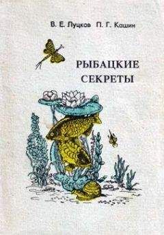 Читайте книги онлайн на Bookidrom.ru! Бесплатные книги в одном клике В. Луцков - Рыбацкие секреты