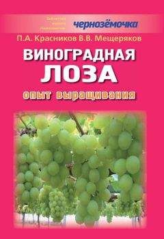 Петр Красников - Виноградная лоза. Опыт выращивания