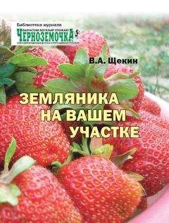 Читайте книги онлайн на Bookidrom.ru! Бесплатные книги в одном клике Владимир Щекин - Земляника на вашем участке