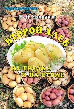 Читайте книги онлайн на Bookidrom.ru! Бесплатные книги в одном клике Ирина Ермилова - Второй хлеб на грядке и на столе