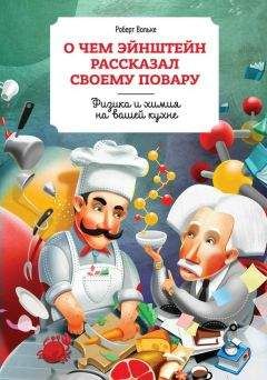 Читайте книги онлайн на Bookidrom.ru! Бесплатные книги в одном клике Роберт Вольке - О чем Эйнштейн рассказал своему повару