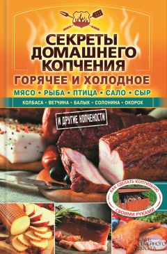 Читайте книги онлайн на Bookidrom.ru! Бесплатные книги в одном клике Валерий Бестужев - Секреты домашнего копчения