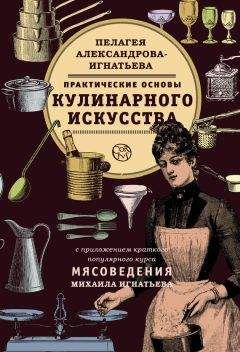 Читайте книги онлайн на Bookidrom.ru! Бесплатные книги в одном клике Михаил Игнатьев - Практические основы кулинарного искусства. Краткий популярный курс мясоведения