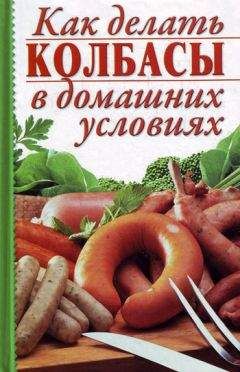 Читайте книги онлайн на Bookidrom.ru! Бесплатные книги в одном клике Алина Калинина - Как делать колбасы в домашних условиях