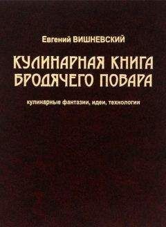 Читайте книги онлайн на Bookidrom.ru! Бесплатные книги в одном клике Евгений Вишневский - Кулинарная книга бродячего повара. Кулинарные фантазии, идеи, технологии