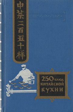 Читайте книги онлайн на Bookidrom.ru! Бесплатные книги в одном клике Филипп Васильев - Двести пятьдесят блюд китайской кухни