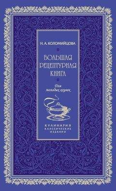 Читайте книги онлайн на Bookidrom.ru! Бесплатные книги в одном клике Н. Коломийцова - Большая рецептурная книга. Для молодых хозяек