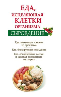 Читайте книги онлайн на Bookidrom.ru! Бесплатные книги в одном клике Ольга Валожек - Сыроедение. Еда, исцеляющая клетки организма