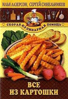 Читайте книги онлайн на Bookidrom.ru! Бесплатные книги в одном клике Илья Лазерсон - Все из картошки