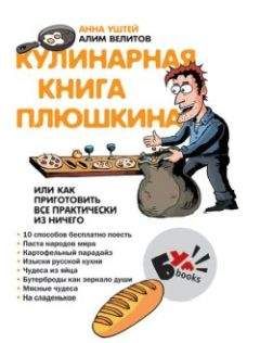 Читайте книги онлайн на Bookidrom.ru! Бесплатные книги в одном клике Алим Велитов - Кулинарная книга Плюшкина, или Как приготовить все практически из ничего