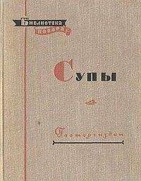 Читайте книги онлайн на Bookidrom.ru! Бесплатные книги в одном клике Алексей Ананьев - Супы