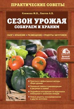 Читайте книги онлайн на Bookidrom.ru! Бесплатные книги в одном клике Алексей Хватов - Сезон урожая. Собираем и храним