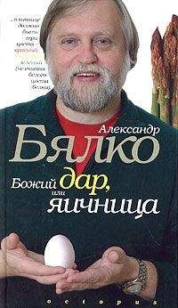 Читайте книги онлайн на Bookidrom.ru! Бесплатные книги в одном клике Александр Бялко - Божий дар или яичница