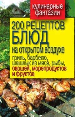 Читайте книги онлайн на Bookidrom.ru! Бесплатные книги в одном клике Владимир Водяницкий - 200 рецептов блюд на открытом воздух: гриль, барбекю, шашлык из мяса, рыбы, овощей, морепродуктов и фруктов