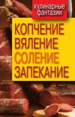 Читайте книги онлайн на Bookidrom.ru! Бесплатные книги в одном клике Ольга Бабкова - Копчение, вяление, соление, запекание