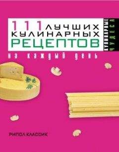 Ирина Константинова - 111 лучших кулинарных рецептов на каждый день