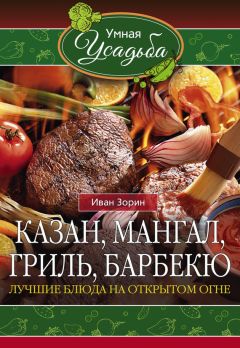 Иван Зорин - Казан, мангал, гриль, барбекю. Лучшие блюда на открытом огне