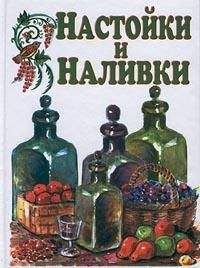 Читайте книги онлайн на Bookidrom.ru! Бесплатные книги в одном клике Иван Дубровин - Настойки и наливки