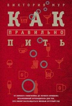 Читайте книги онлайн на Bookidrom.ru! Бесплатные книги в одном клике Виктория Мур - Как правильно пить. От зимнего глинтвейна до летнего крюшона. Незаменимый путеводитель для тех, кто любит наслаждаться жизнью круглый год