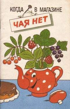Читайте книги онлайн на Bookidrom.ru! Бесплатные книги в одном клике Татьяна Кавина - Когда в магазине чая нет