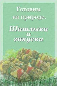 Читайте книги онлайн на Bookidrom.ru! Бесплатные книги в одном клике Илья Мельников - Шашлыки и закуски