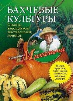 Читайте книги онлайн на Bookidrom.ru! Бесплатные книги в одном клике Николай Звонарев - Бахчевые культуры. Сажаем, выращиваем, заготавливаем, лечимся