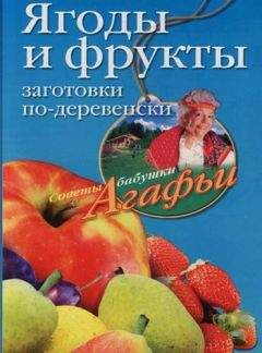 Читайте книги онлайн на Bookidrom.ru! Бесплатные книги в одном клике Агафья Звонарева - Ягоды и фрукты. Заготовки по-деревенски