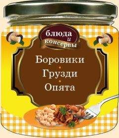 Читайте книги онлайн на Bookidrom.ru! Бесплатные книги в одном клике Е. Левашева - Боровики. Грузди. Опята