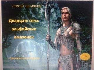 Читайте книги онлайн на Bookidrom.ru! Бесплатные книги в одном клике Сергей Шемякин - Двадцать семь эльфийских амазонок